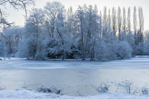 Lucia LOPS - LULU PHOTOGRAPHY